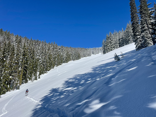 Putting the rabbit in the hat (Rabbit Gulch Backcountry Skiing Trip Report - 3/12/23)